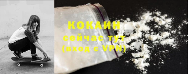 твердый Дмитровск