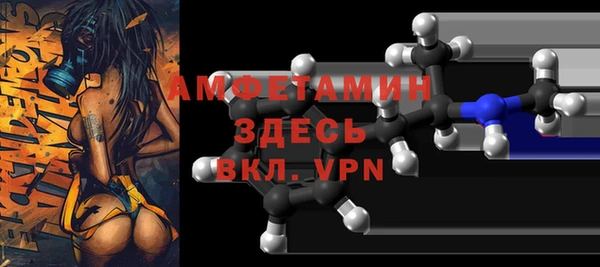 твердый Дмитровск