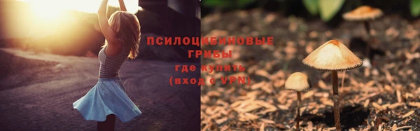 mdpv Дмитриев