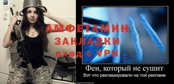 твердый Дмитровск